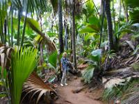 Mitten im düsteren Vallée de Mai Palmwald - Praslin